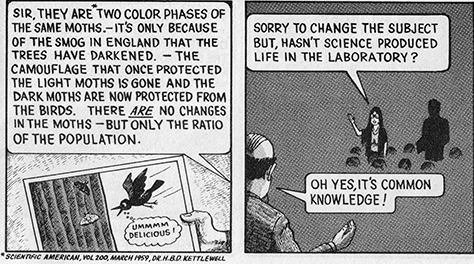 Pg. 17