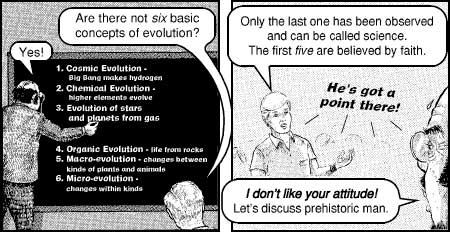 Pg. 8