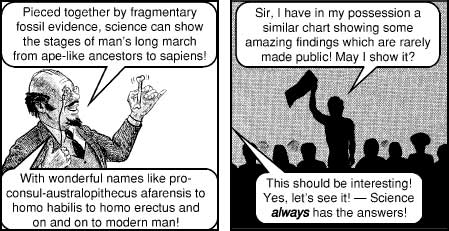 Pg. 11