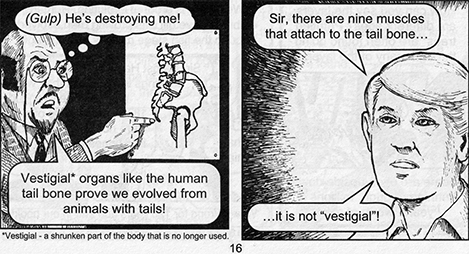 Pg. 16
