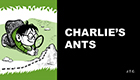 Charlie's Ants