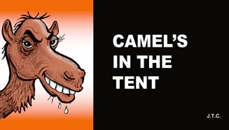 Camel's In The Tent